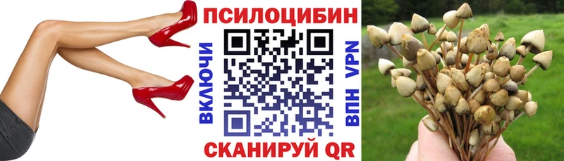 blacksprut ссылка  Чёрмоз  Псилоцибиновые грибы Cubensis 